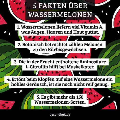 5 Fakten über Wassermelonen (Infografik)
