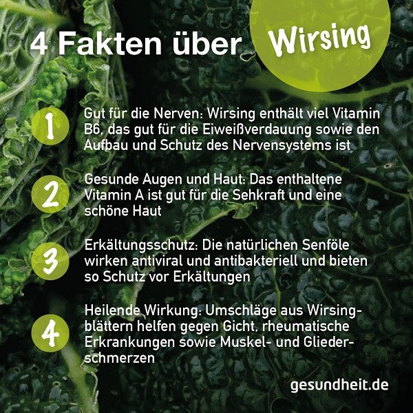 4 Fakten über Wirsing (Infografik)