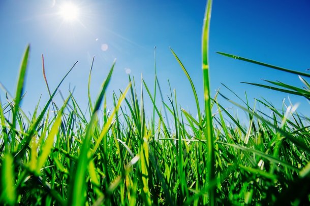 Klimafreundlich Klimafreundlich