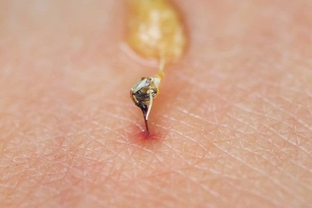 Bienenstich Bienenstich