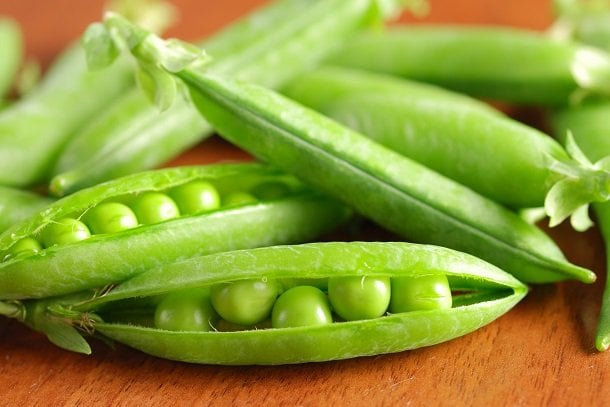 Erbsen Erbsen