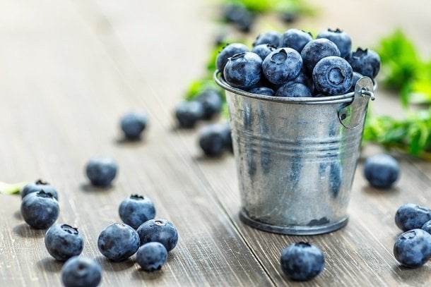 Heidelbeeren: kleine blaue Wunderfrucht Heidelbeeren: kleine blaue Wunderfrucht