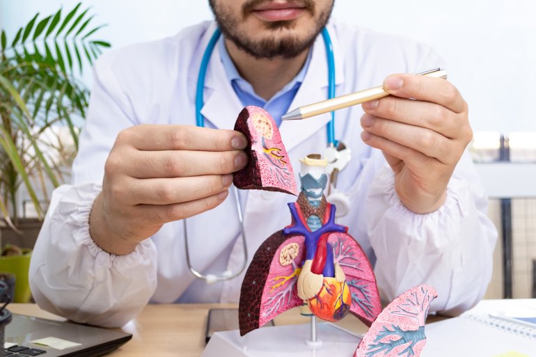 Arzt zeigt ein Modell der Lunge
